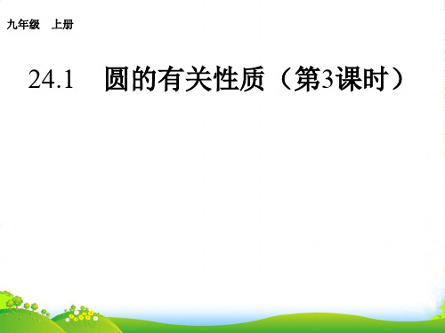 新人教版九年级数学上册《圆的有关性质》课件