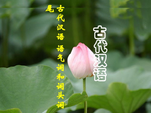 通论-语法9语气词词头词尾