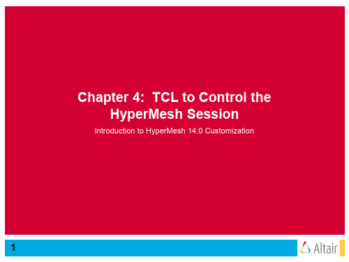 Chapter-4-Using-Tcl-to-Control-the-HyperMesh-Session-2017-CN第二天下午