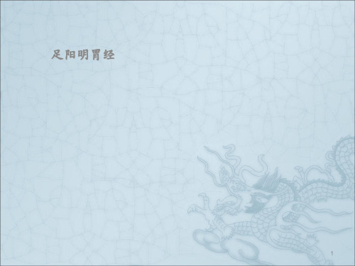 足阳明胃经及重点穴位ppt课件