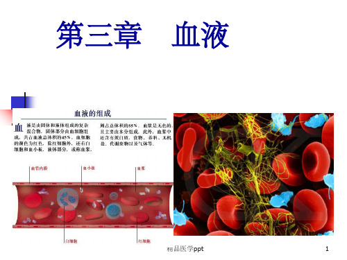 动物生理学第三章血液