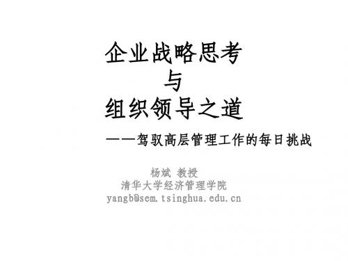 企业战略思考与组织领导之道 --驾驭高层管理工作的每日挑...