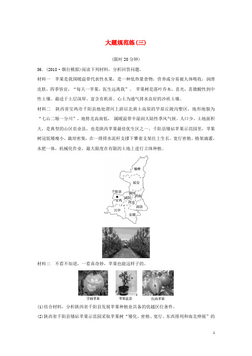(全国通用版)2020高考地理总复习 精准提分练：大题规范练(三)