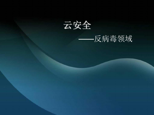 云安全