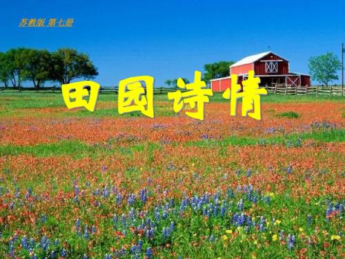 《田园诗情》PPT(上课用)4
