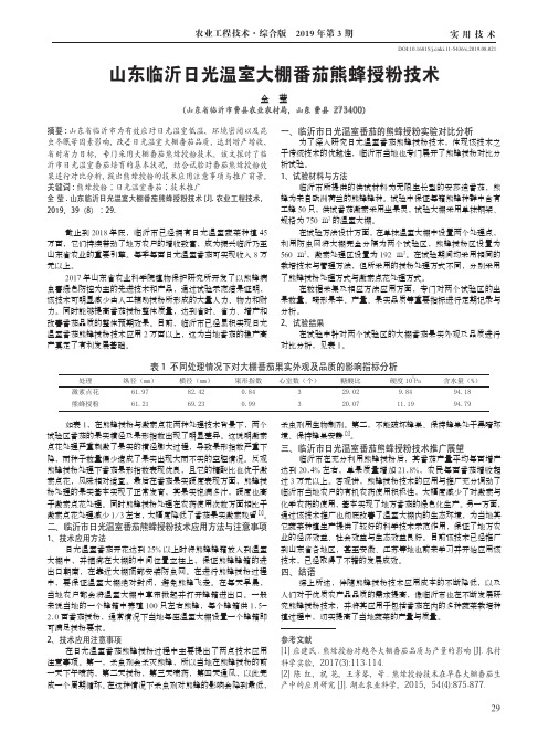 山东临沂日光温室大棚番茄熊蜂授粉技术