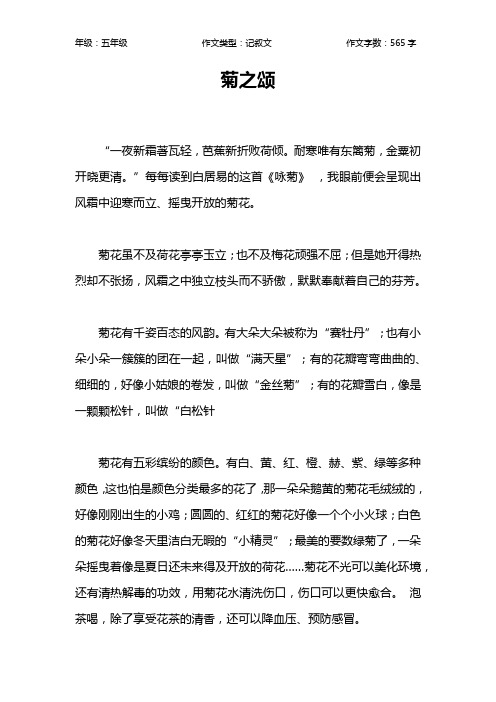菊之颂作文【小学五年级600字】