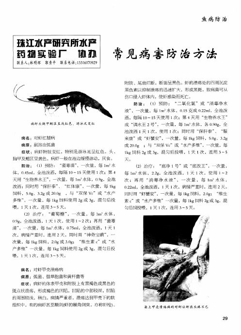 常见病害防治方法