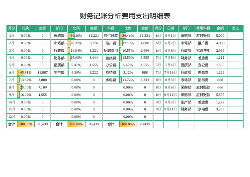 财务记账分析费用支出明细表