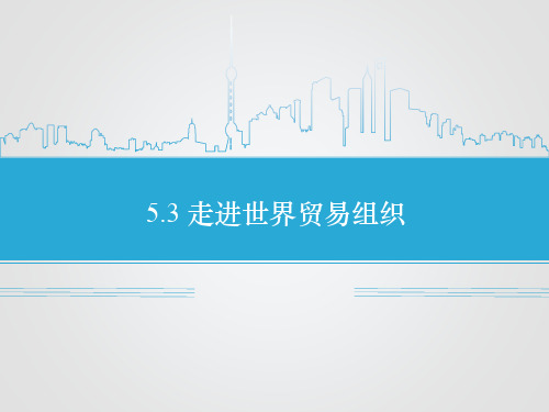 《5.3 走进世界贸易组织》课件1