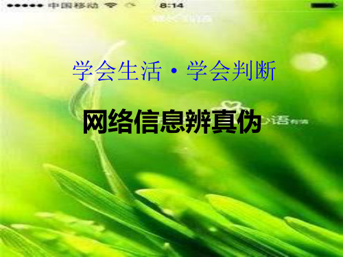 网络信息辨真伪-课件1