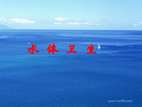 环境卫生 水体卫生