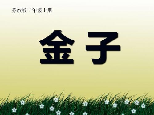 《金子》PPT课件(上课用)3