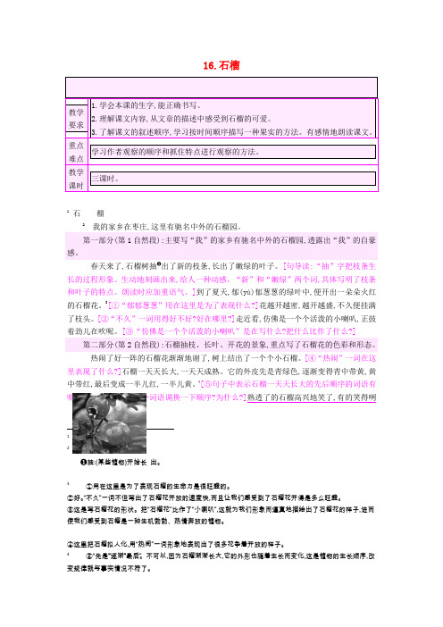 2019三年级语文上册 16.石榴教案 苏教版