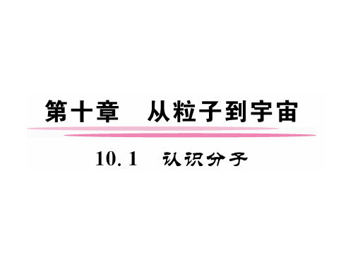 沪粤版八年级物理下册同步课件：10.1 认识分子 (共24张PPT)