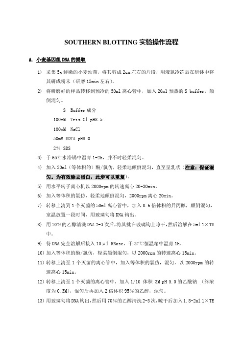 southern_杂交实验流程