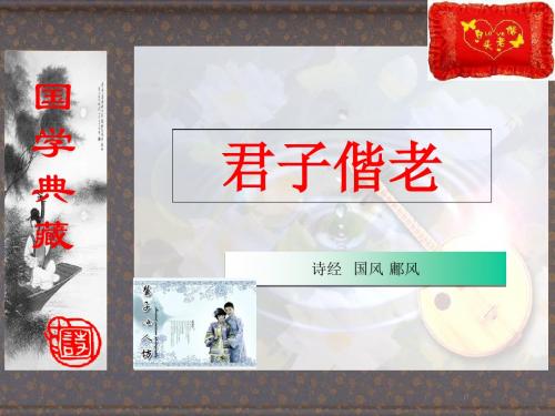 鬒发如云不屑髢也玉之瑱也-君子偕老鄘风