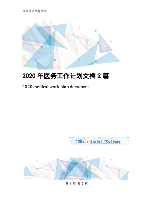 2020年医务工作计划文档2篇