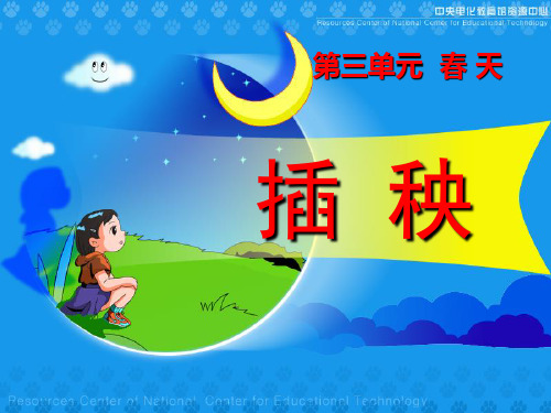 《插秧》PPT课件