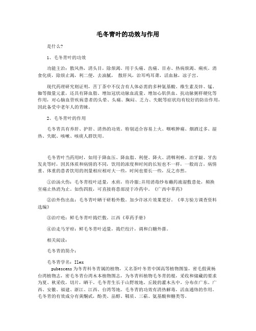 毛冬青叶的功效与作用