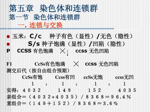 染色体和连锁群
