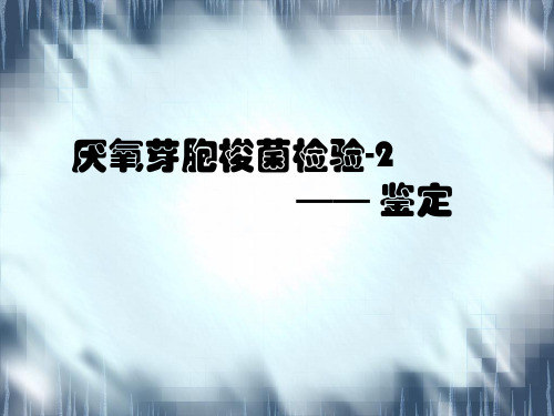 厌氧菌鉴定