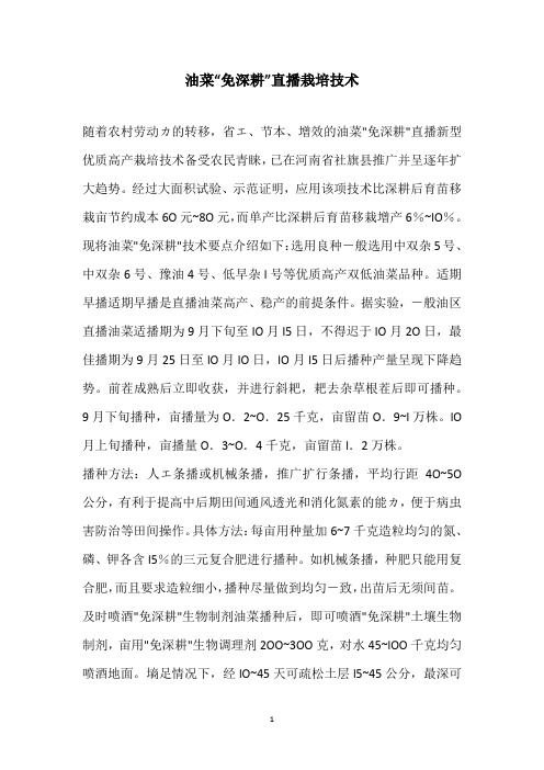 油菜“免深耕”直播栽培技术