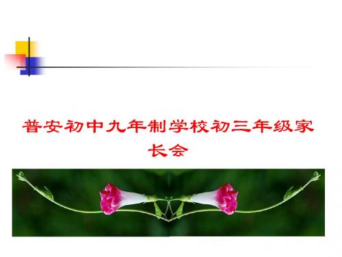初三年级下学期中考前家长会.ppt原航班