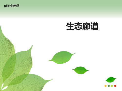 高中地理微专题  生态廊道