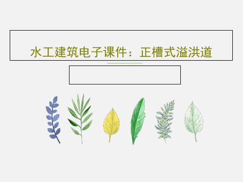 水工建筑电子课件：正槽式溢洪道共41页文档