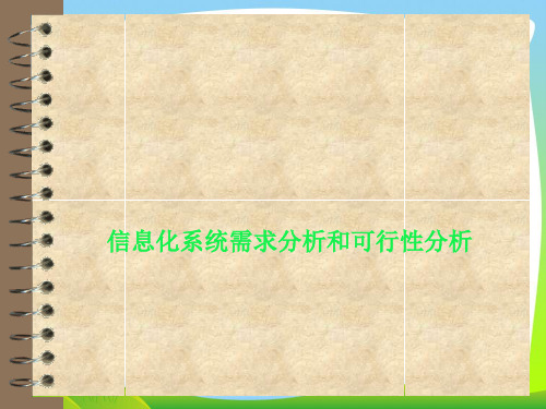 信息化系统需求分析和可行性分析(PPT39页)
