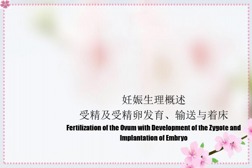 妊娠生理概述受精及受精卵发育、输送与着床