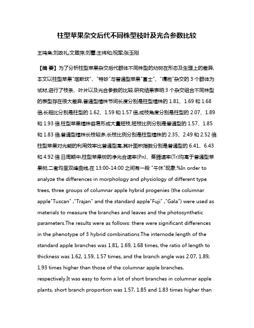 柱型苹果杂交后代不同株型枝叶及光合参数比较