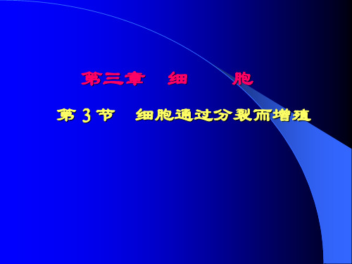 北师大版初中生物七上第二单元3.3《细胞通过分裂而增殖》课件(23张) (3)(共23张PPT)