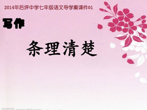 作文指导条理清楚导学案33