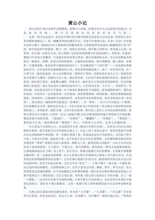 黄山小记