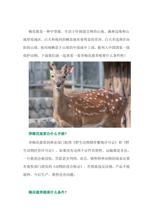 特种养殖：养梅花鹿养殖要什么条件？
