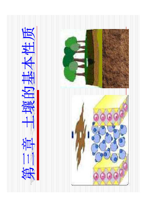 土壤肥料学-第三章 土壤的基本性质