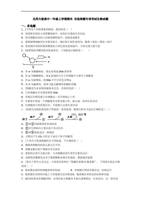 北师大版高中一年级上学期期末 非选择题专项考试生物试题
