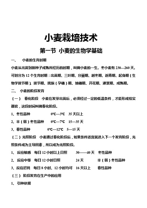 小麦栽培技术