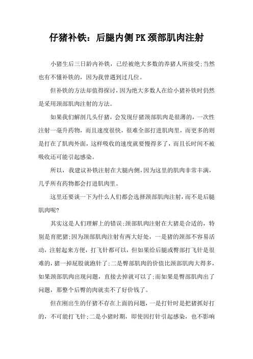仔猪补铁后腿内侧PK颈部肌肉注射