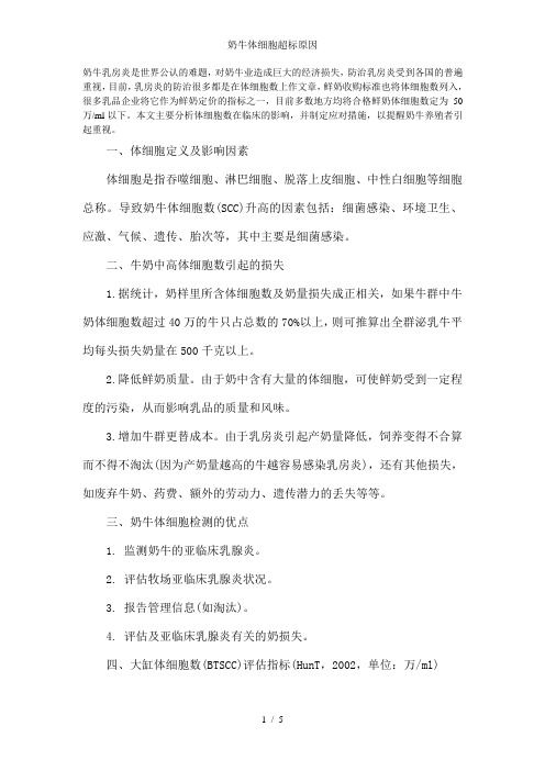 奶牛体细胞超标原因