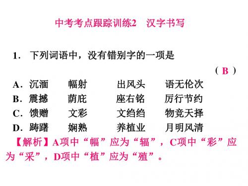 中考考点跟踪训练2 汉字书写