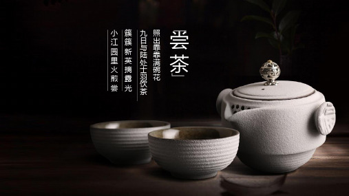中国风茶艺文化模板