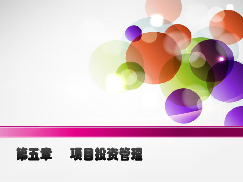 5 项目投资管理