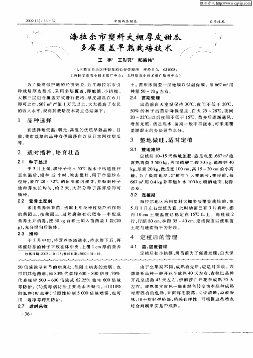 海拉尔市塑料大棚厚皮甜瓜多层覆盖早熟栽培技术