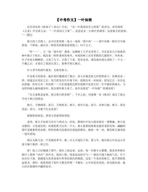【中考作文】一叶知秋