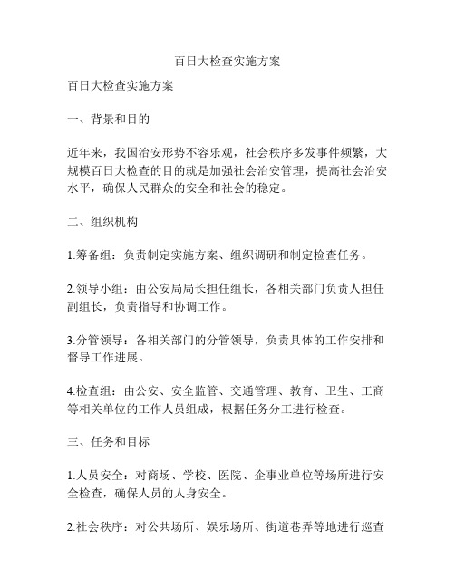 百日大检查实施方案