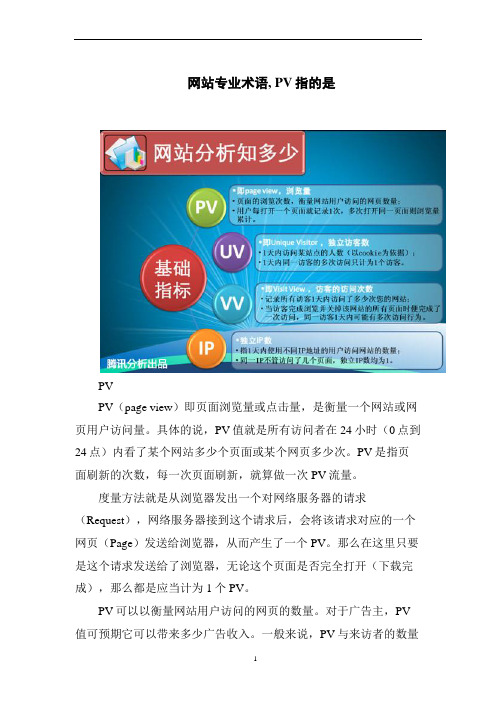 网站专业术语, PV指的是
