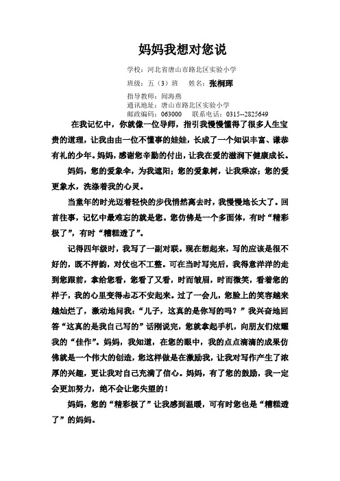 5.3张桐辉